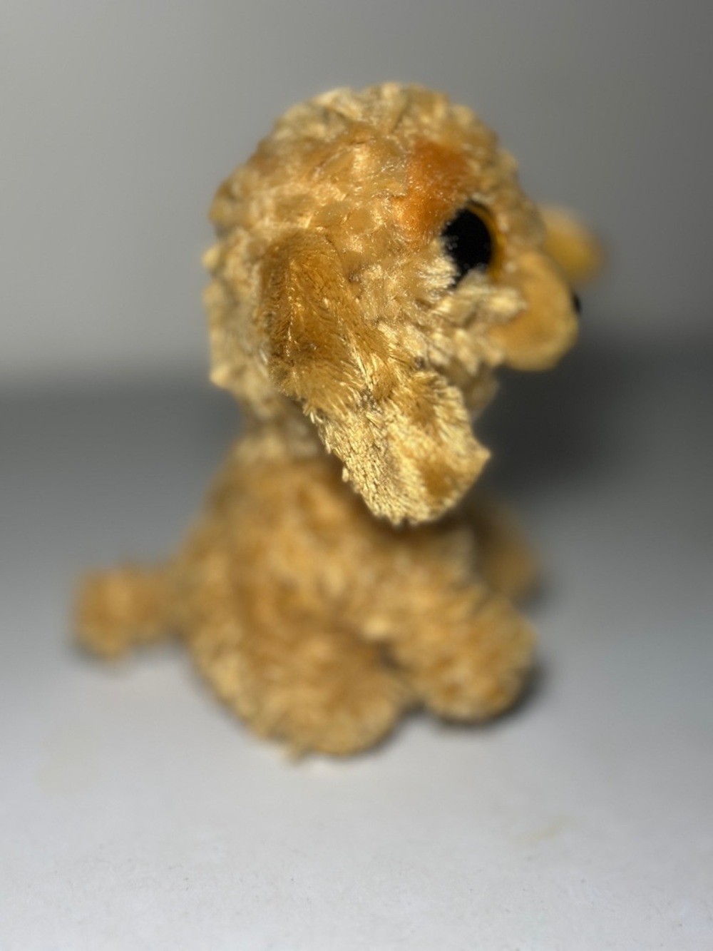 Ty Beanie Boos “Noodles” Goldendoodle Plush – Glitter Eyes Dog (7”) - Picture 5 of 12